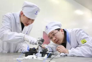 提升貧困人口醫(yī)療保障水平 技術(shù)開(kāi)發(fā)賦能醫(yī)療救助新篇章